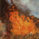 Painting of forest fire