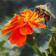 Painting of a marigold and a bumblebee.