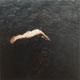 Painting of man diving naked into lake