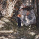 Painting of child in landscape