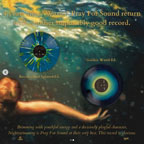 Night Swimming album Pray for Sound, Dunk Records.