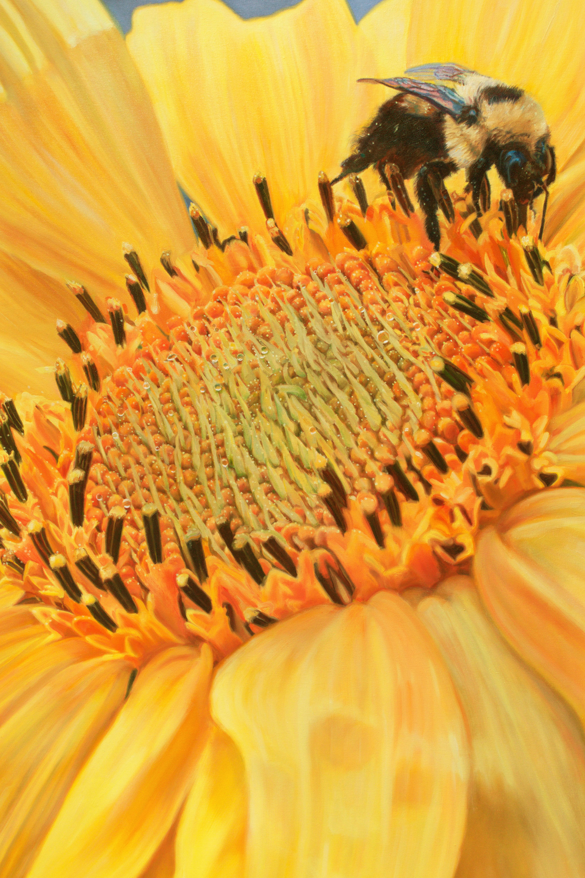 Painting of bumblebee on sunflower.