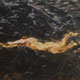 Painting of swimmer