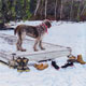 Painting of dog on dock on frozen lake in the Laurentians.
